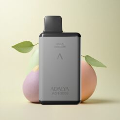 Adalya AD 10000 Space Gray Disposable Vape with USB-C and 650 mAh Battery