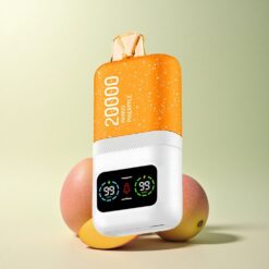 Aivono Aim Magic 20000 Mango Pineapple Dual Mesh 5% Nicotine 600mAh